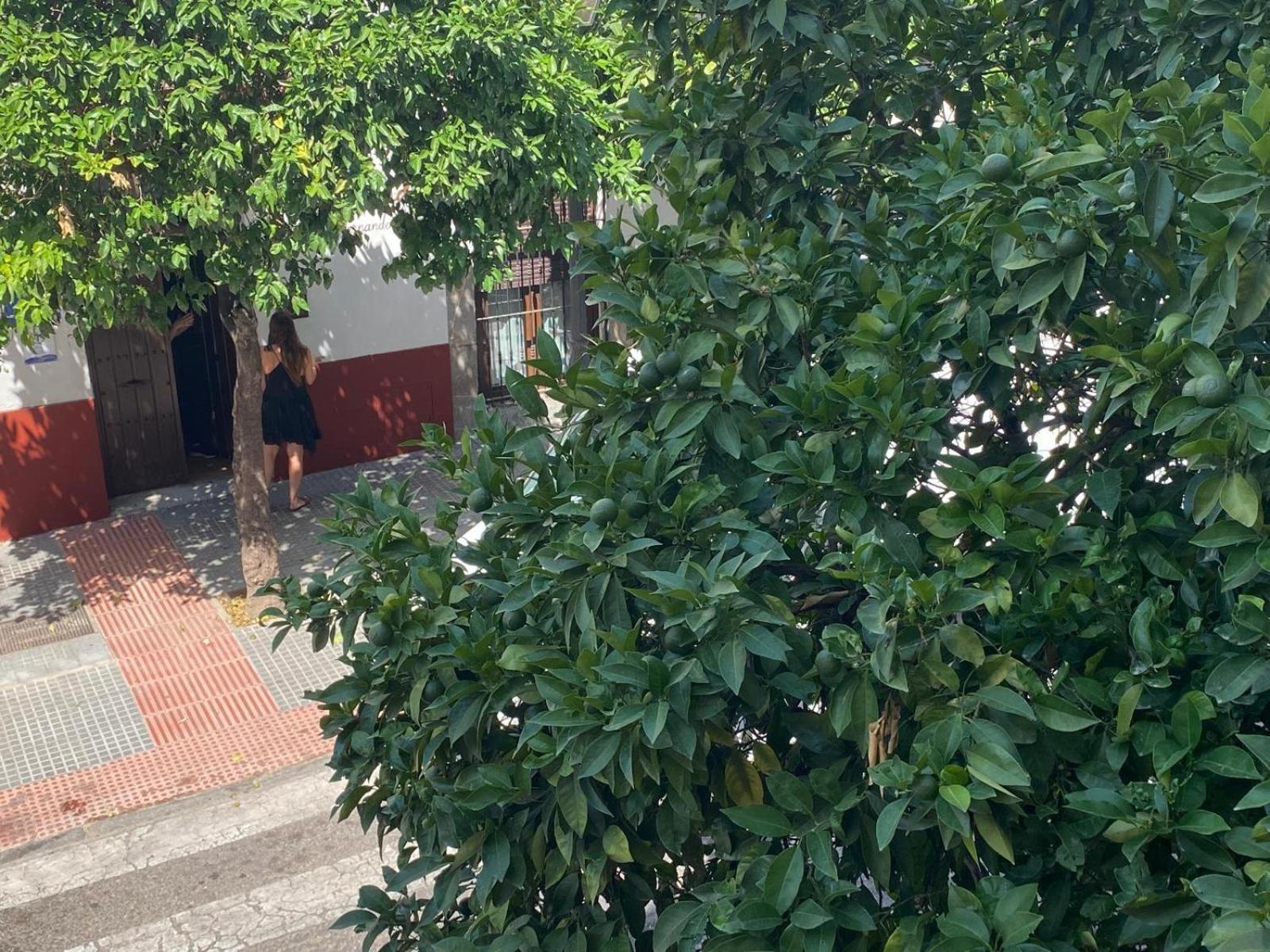 La Escalerita Lejlighed Córdoba Eksteriør billede